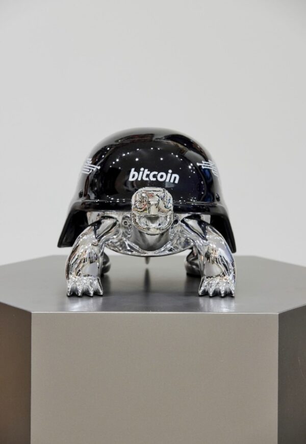 BITCOIN TURTLE