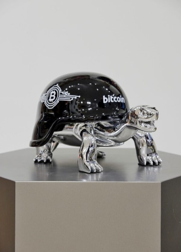 BITCOIN TURTLE